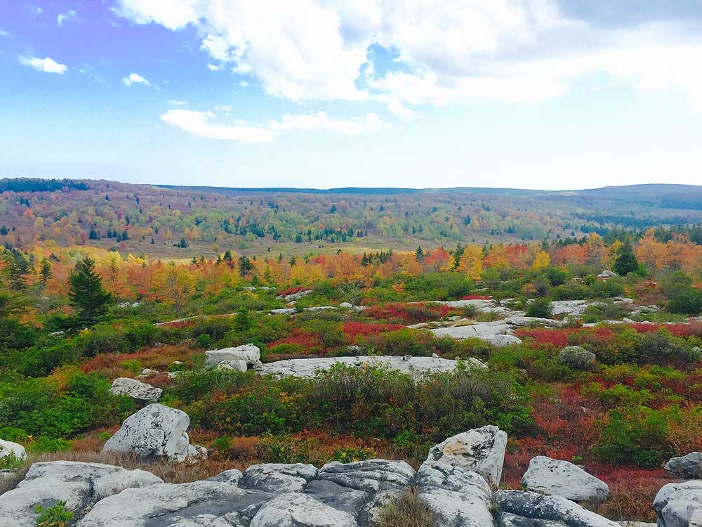 Dolly Sods North Hike - FullSizeRenDer (5)