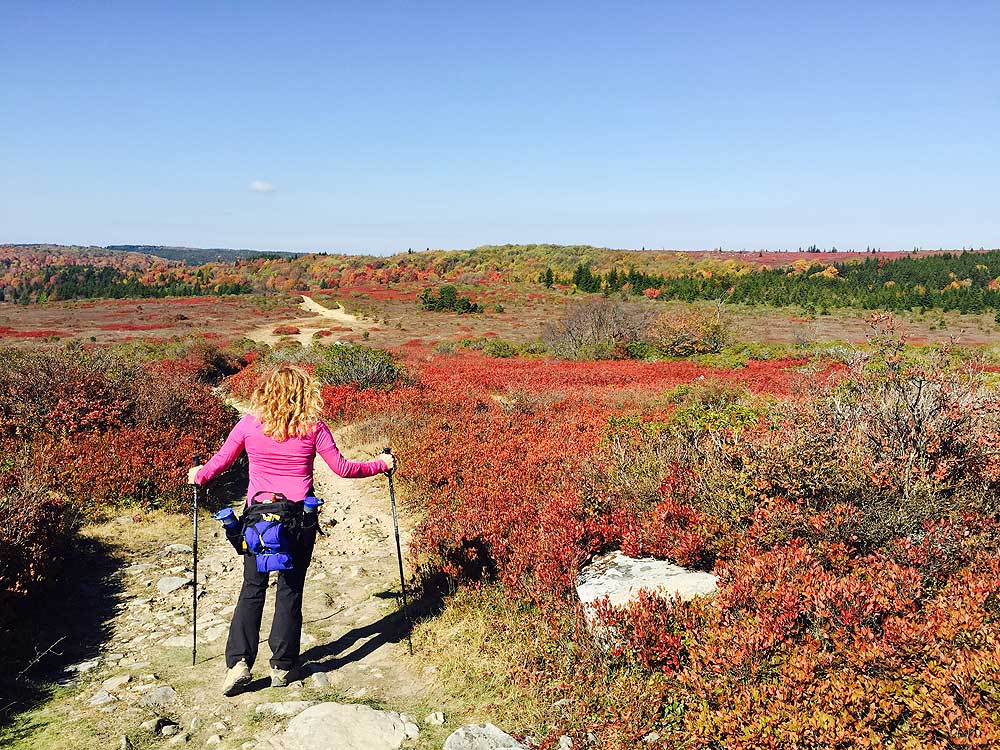 Dolly Sods North Hike - FullSizeRenDer