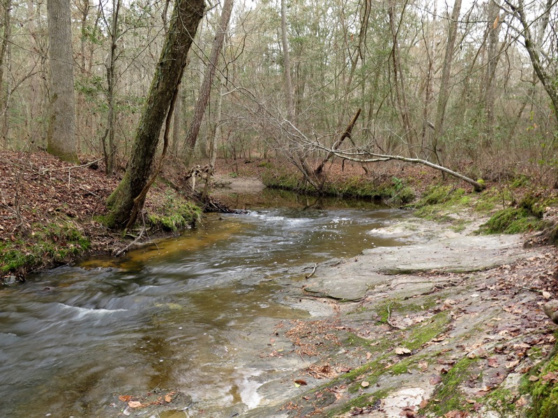 Campbell Creek/Lanier Falls Hike