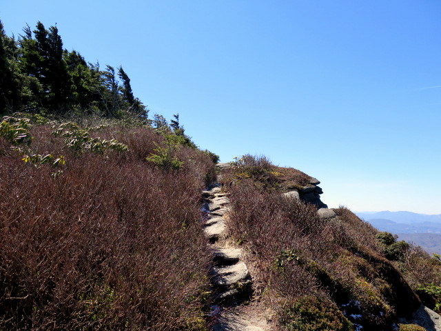 Hiking & Walking Trails - Grandfather Mountain