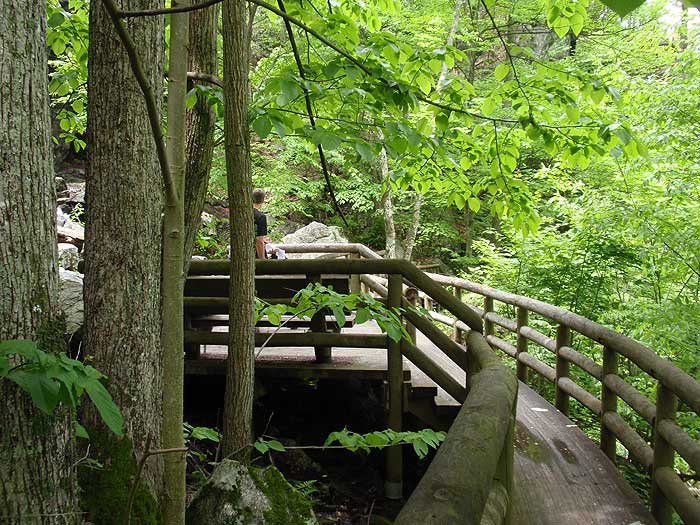 Apple Orchard Falls, Cornelius Creek Circuit and Apple Orchard