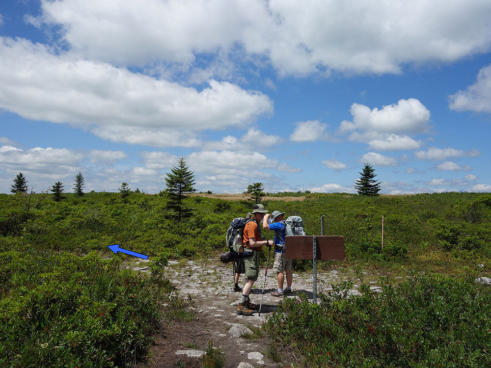 Dolly Sods Trail Map - DSC04651