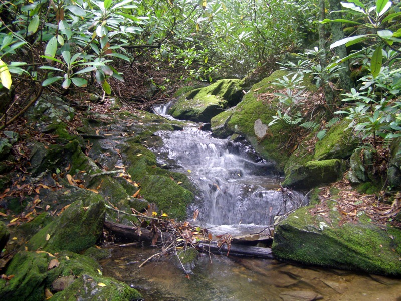 Hiking to the Heights: Fly-fishing in Boone Fork Creek for Monster