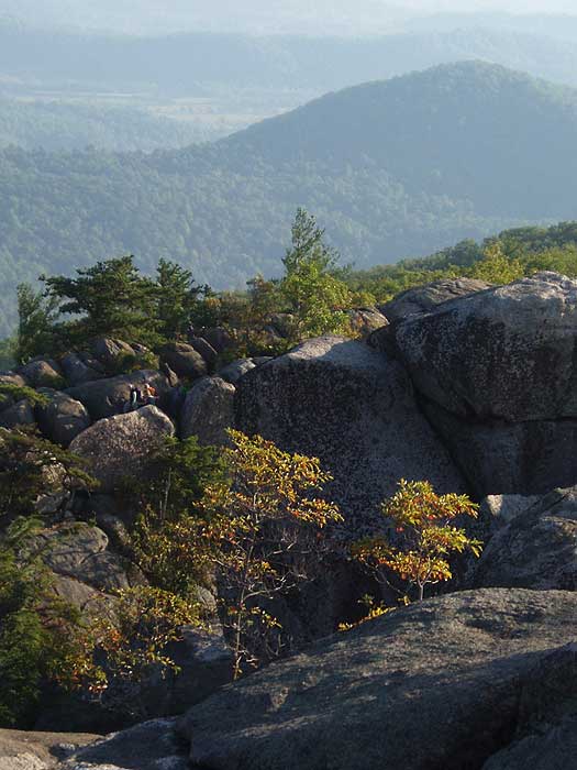 Old Rag Mountain via Weakley Hollow Fire Road, Virginia - 443 Reviews, Map